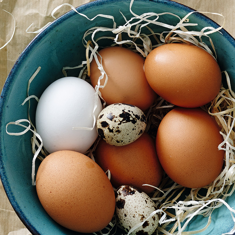 Derfor spiser vi æg til påske - Få svaret her