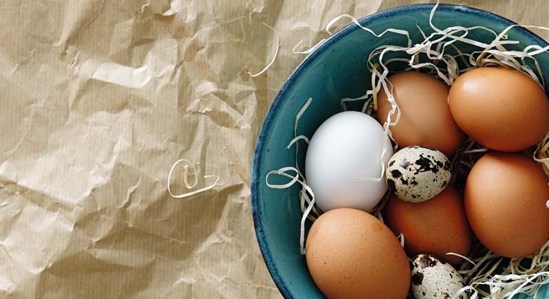 Æg køleskab udenfor kogte holdbarhed Hvor længe